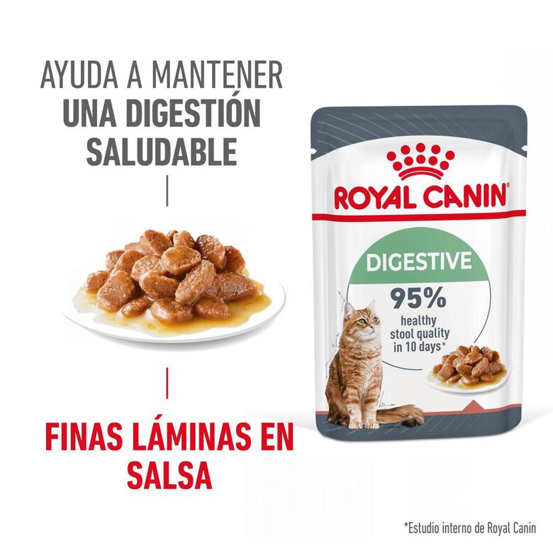 Royal Canin Digestive Sensitive sobre para gatos, , large image number null
